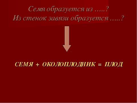 Презентация на тему "Плоды. Значение и разнообразие плодов." по биологии