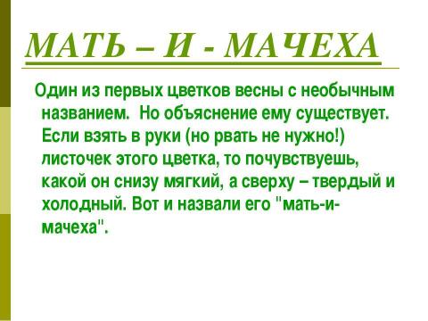 Презентация на тему "Мастерская весны" по окружающему миру