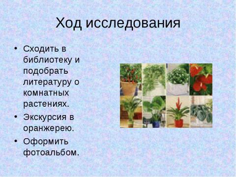 Презентация на тему "Нужны ли комнатные растения зимой" по биологии