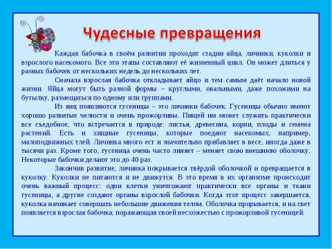 Презентация на тему "Бабочки (11 класс)" по биологии