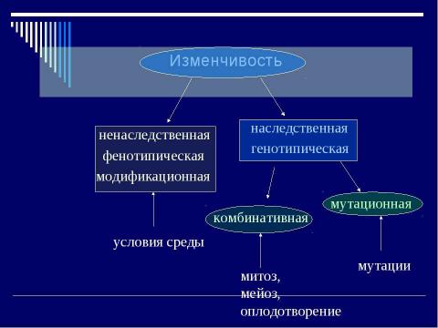 Презентация на тему "Мутация- источник формирования биологического разнообразия" по биологии