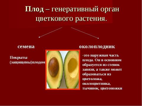 Презентация на тему "Плоды. Значение и разнообразие плодов." по биологии