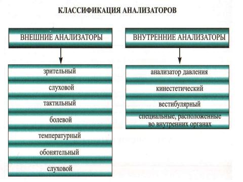 Презентация на тему "Медико-биологические основы безопасности жизнедеятельности" по ОБЖ