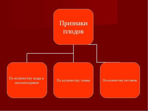 Презентация на тему "Плоды. Значение и разнообразие плодов." по биологии