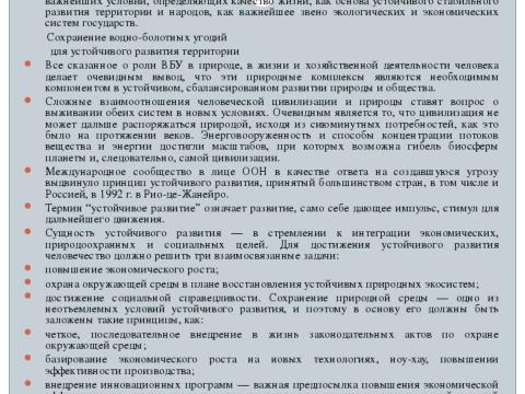 Презентация на тему "Болота и их роль в экологической системе планеты" по экологии