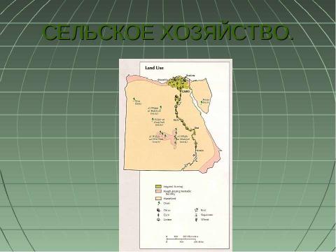 Презентация на тему "Египет. Экономико-географическая характеристика" по географии