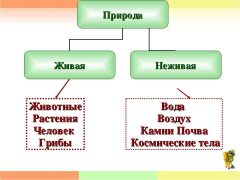 Презентация на тему "Единство живой и неживой природы 2 класс" по окружающему миру