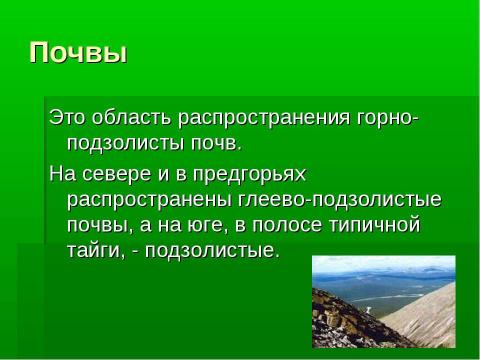 Презентация на тему "Таёжная область Северного Урала" по географии