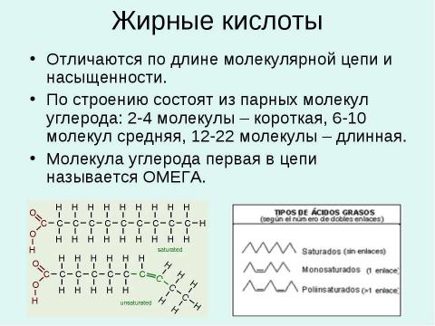 Презентация на тему "Жиры - Липиды" по химии