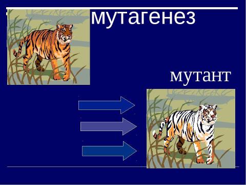 Презентация на тему "Мутация- источник формирования биологического разнообразия" по биологии