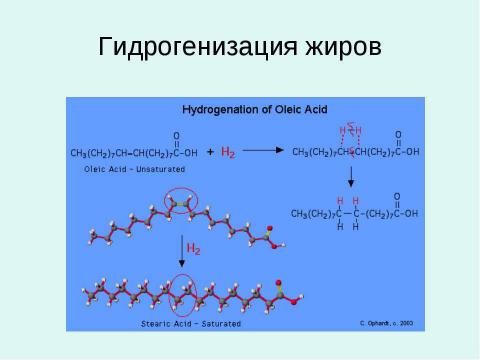 Презентация на тему "Жиры - Липиды" по химии