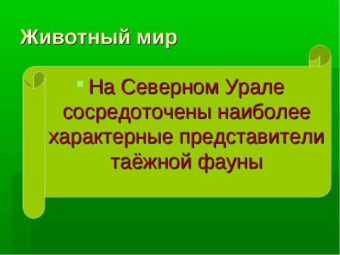 Презентация на тему "Таёжная область Северного Урала" по географии