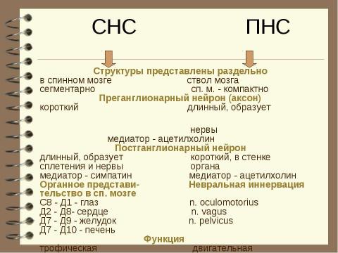 Презентация на тему "Патология вегетативной нервной системы" по медицине