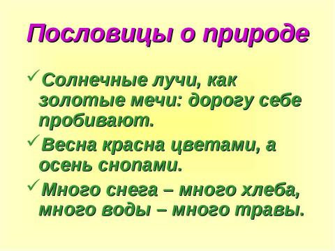 Презентация на тему "Пословица – это народная мудрость" по литературе