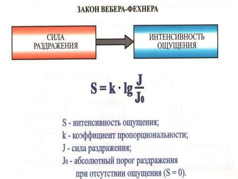 Презентация на тему "Медико-биологические основы безопасности жизнедеятельности" по ОБЖ