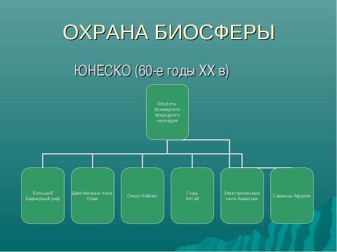 Презентация на тему "Экологические проблемы в биосфере" по экологии